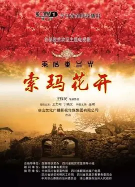 《索玛花开》：战火下的爱情与坚守，一朵在绝望中绽放的希望之花