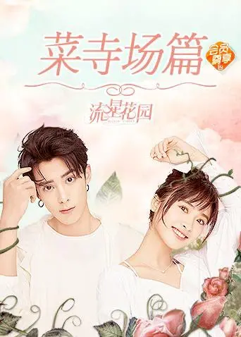 《星花园菜寺场篇》：爆笑来袭！当偶像剧遇上东北乱炖，这滋味儿绝了！