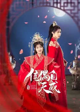 《佳偶自天成》：笑泪交织的爱情喜剧，看平凡男女如何谱写浪漫恋曲！